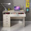 Gouge Computer Desk-38263702