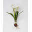 Real Touch White Narcissus 13”