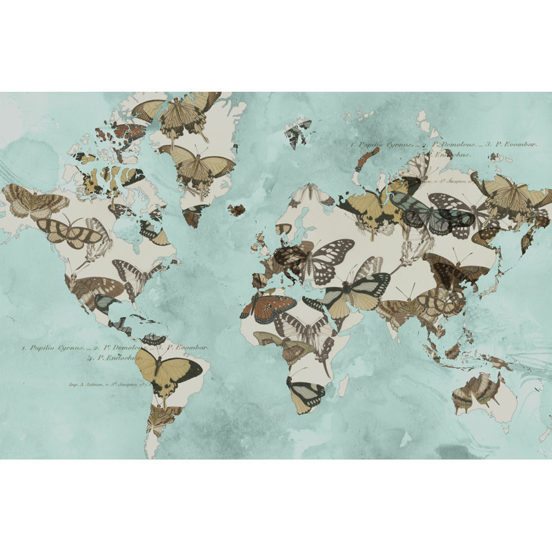 Migration Of Butterflies by Jennifer Goldberger - Wrapped Canvas Painting, 61cm H x 91cm W