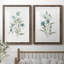 Linen Botanical III - ensemble de 2 reproductions d'art-1345068774-1345068775-1345068768