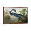 Louisiana Heron by John Audubon - Floater Frame Painting on Canvas-255220095-255220091