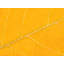 Autumn Leaf Print by Philippe Monthoux-132457124-65859229