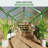 8 x 10/12FT Polycarbonate Walk-in Greenhouse with Roof Vent, Aluminum Frame Large Garden Greenhouse for Outdoors-121768551-121768555