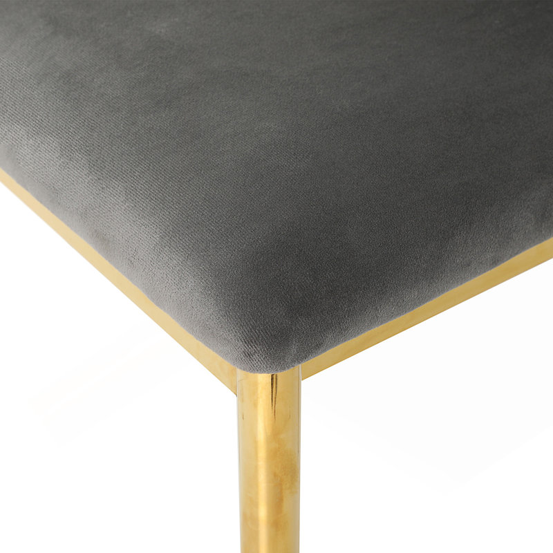 Chaise de salle à manger moderne (ensemble de 2), 2, Gris foncé, Doré