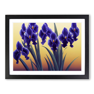 Excellent Iris Flowers - Framed Print