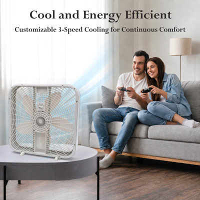 Ventilateur de table Zoom de 20 pouces