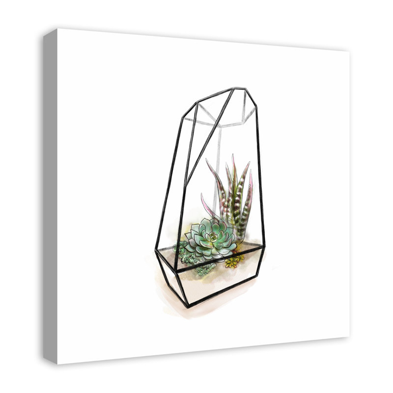 Terrarium sur toile, H 24 po x l 24 po x P 1,25 po