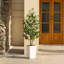 Adcock UV Protected Artificial Ficus Tree with Decorative Base, Faux Ficus Plant with Natural Trunk-1722551527-1722551521