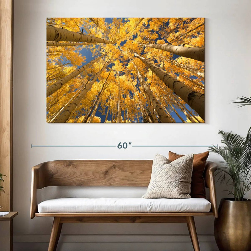Harnek Golden Aspen Canopy, 34" H x 51" W