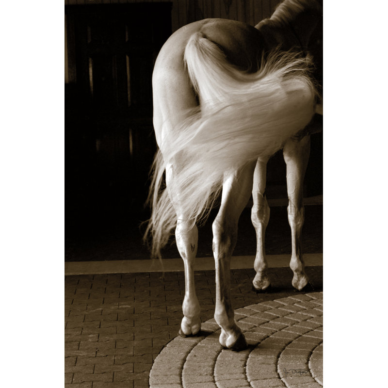 Swoosh by Jim Dratfield - Wrapped Canvas Print, 122cm H x 81cm W x 3.8cm D