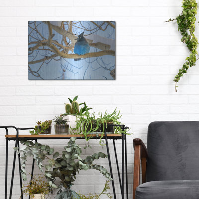 «Steller Jay In Winter» par Rick Berk, mur en métal