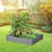Raised Garden Bed, Outdoor Wood Planter Box
