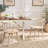 Paras Curved Back Dining Chair-1417383737