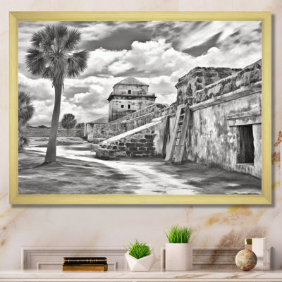 Noir et blanc Florida Sunshines State II