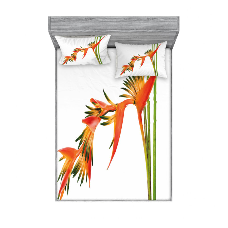 Ensemble de draps à motif de fleurs tropicales exotiques sur une branche, Ensemble de drap pour grand lit avec drap-housse