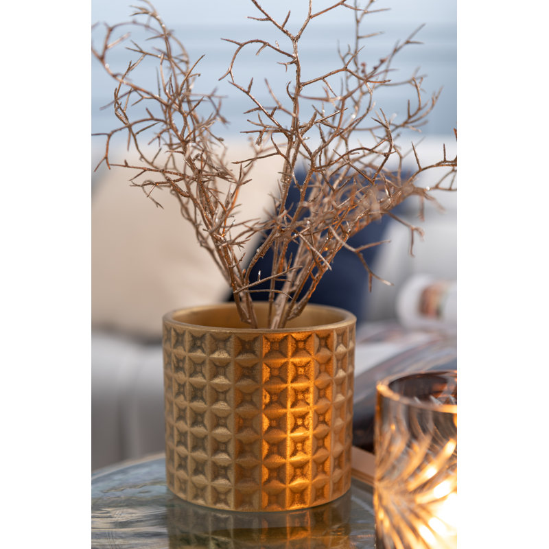 Faux Birch Tree Plant, 33.5cm H x 2cm W x 2cm D, Champagne