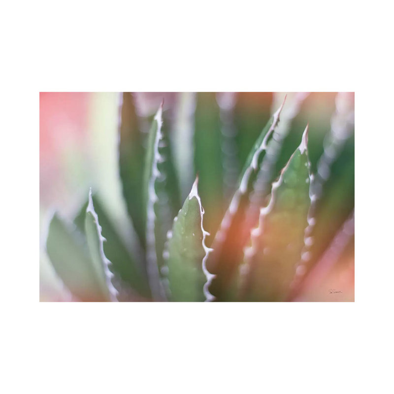 Dream Desert IV by Sue Schlabach - Wrapped Canvas Print, 66.04 cm H x 45.72 cm W