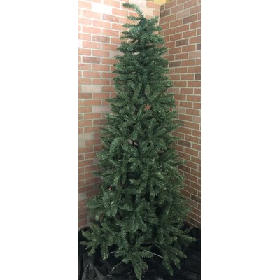 7.5' Green Pine Artificial Christmas Tree with 350 Warm White Lights -  The Holiday Aisle®, 13510
