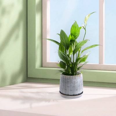 7", Modern Ceramic Flowerpot , Antique Grey, Patio, Living Room, Frost - , Heat Built In Drainage Hole Grey Planter Garden, Indoor Spaces, Proof,