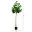 7 pi Ficus Audrey artificiel-1619356196