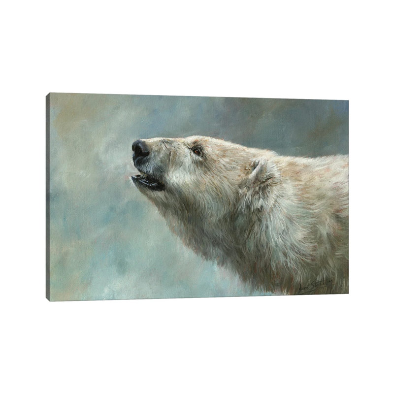 Polar Bear Study 1 Piece Wrapped Canvas Painting, 152.5 cm H x 101.5 cm W