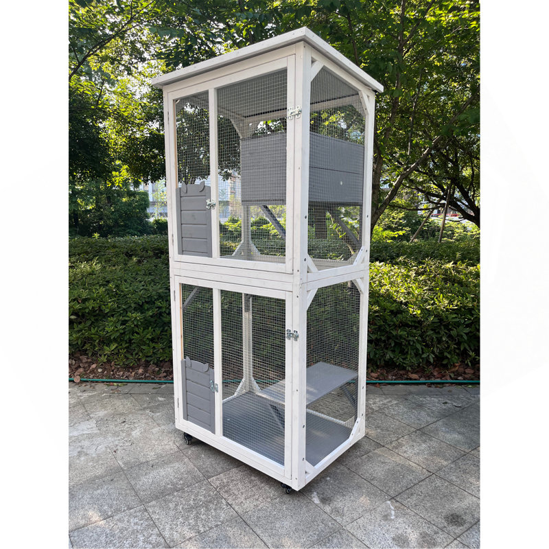 Cage de jeu d'extérieur pour chat