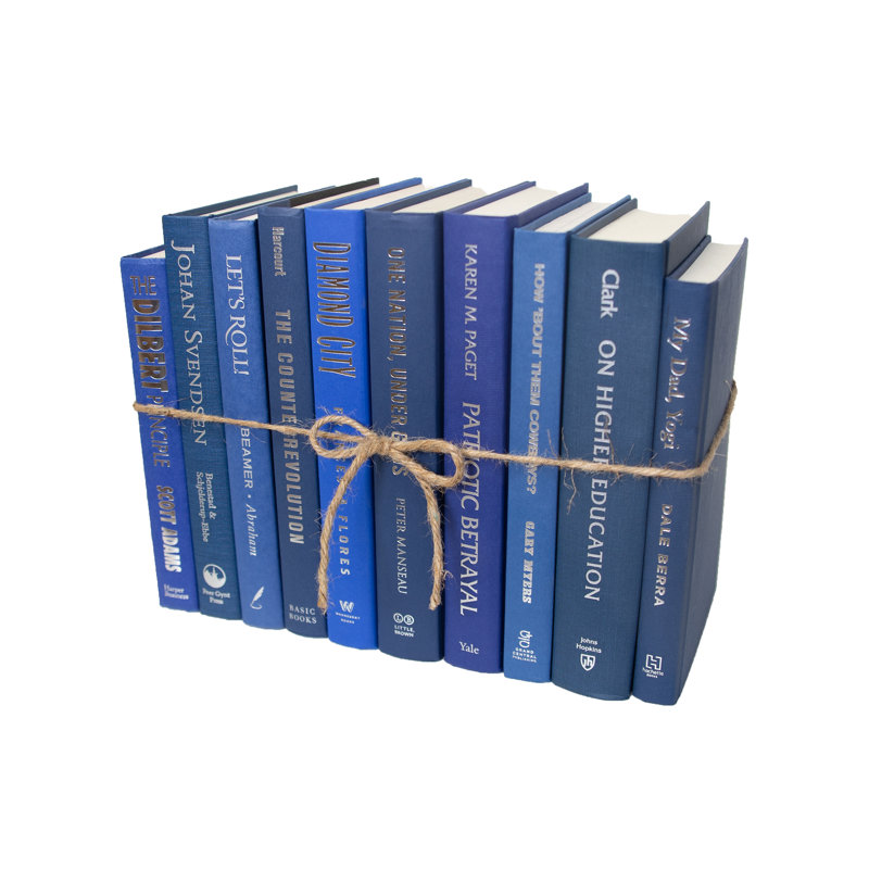 Decorative Books - Denim & Silver Book Bundle - 1 Foot of Blue Books