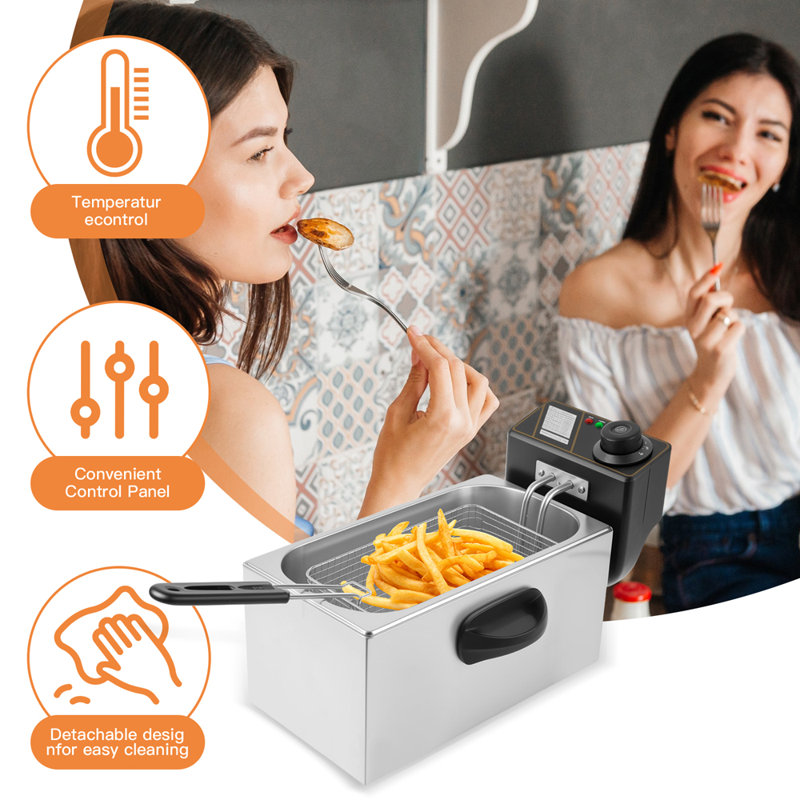 Compact Stainless Steel Electric Deep Fryer