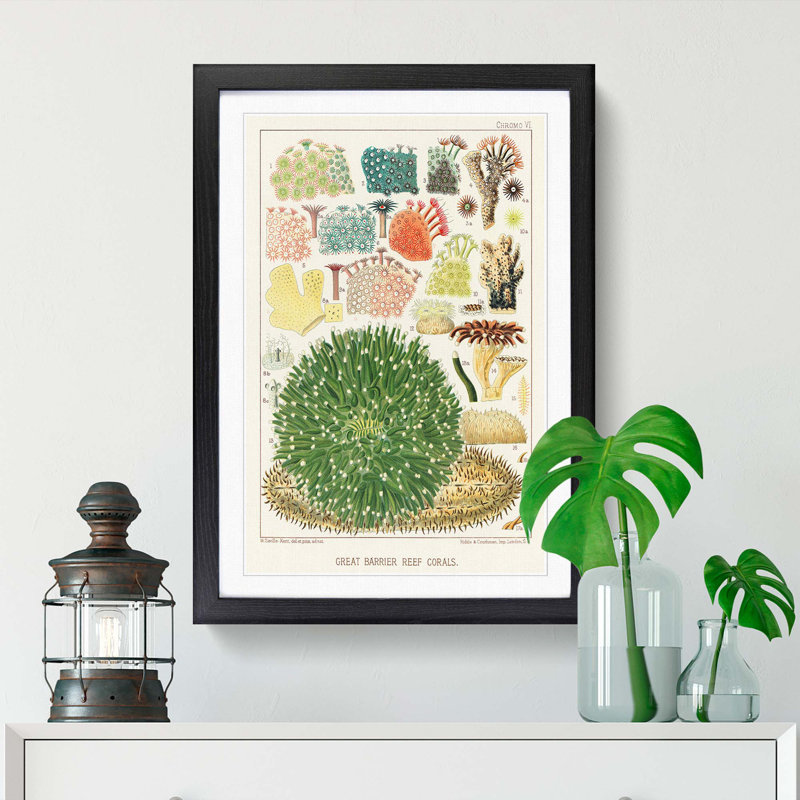Great Barrier Reef Corals by W. Saville-Kent - Picture Frame Painting Print, Black Framed, 65cm H x 48cm W x 2cm D