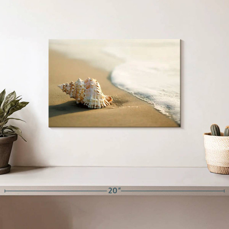 Shell on the beach Aletra, H 8 po x l 12 po