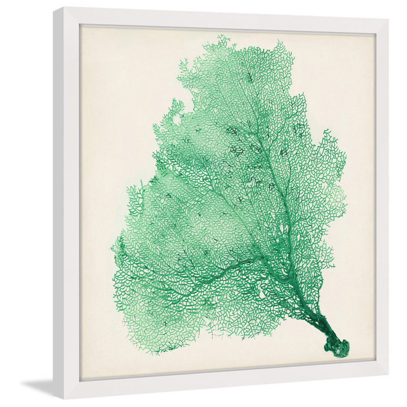 Green Sea Fan Print on Canvas with White Frame, 12" x 12"