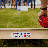Rustic Wood Star Cornhole Boards