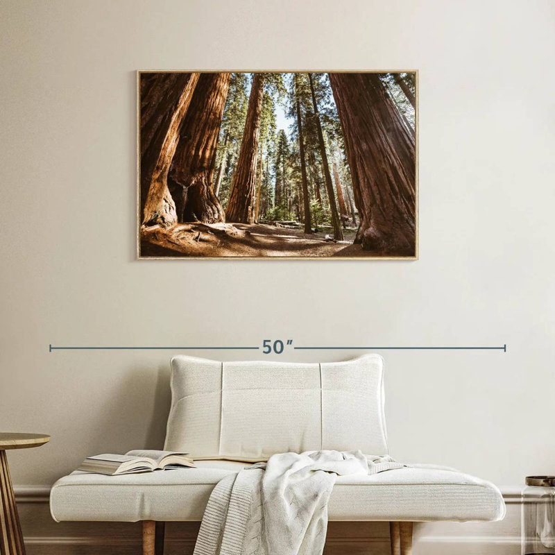 Été dans le parc Sequoia, Cadre flottant en bois naturel, 37 po x 25 po
