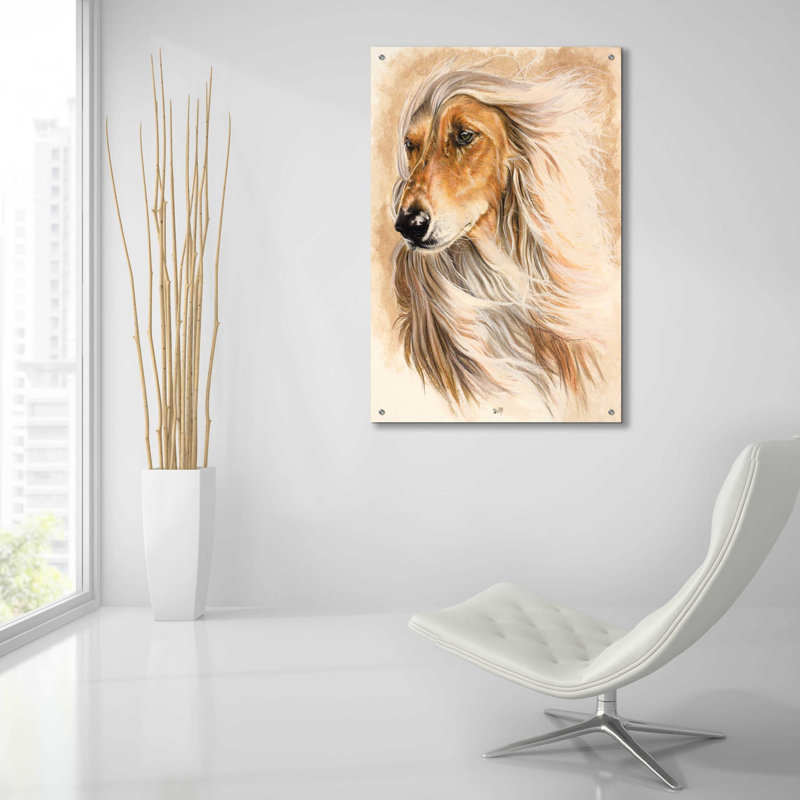 " Afgan Hound " by Barbara Keith, 24" W x 36" H