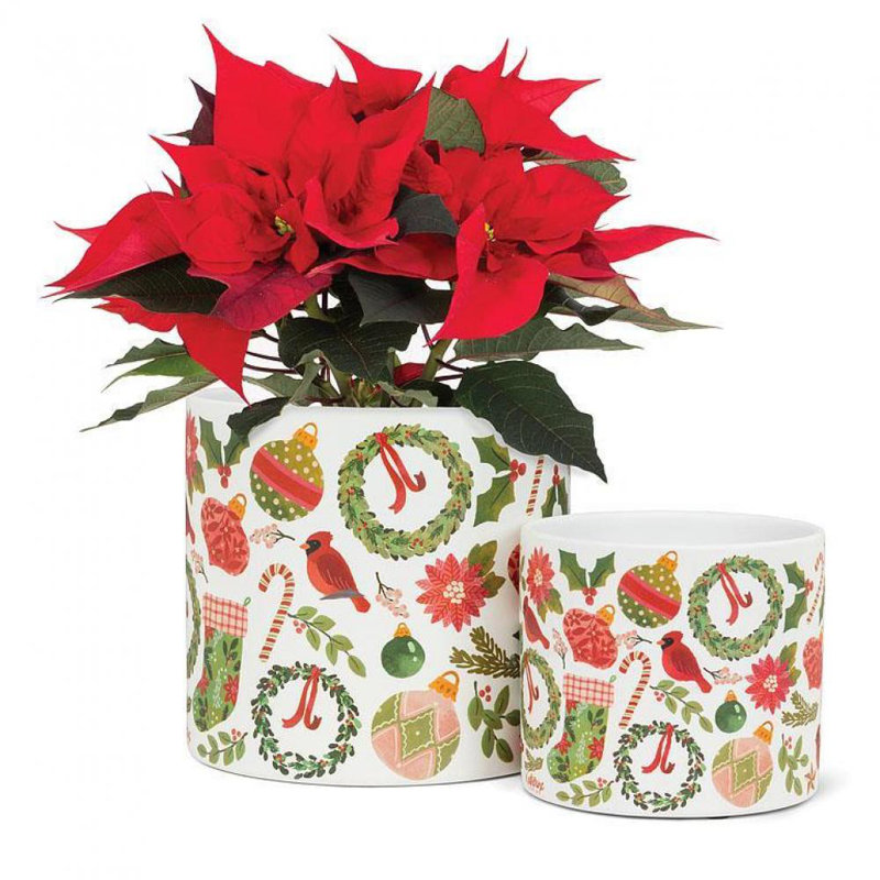 Cache-pot en céramique Brandolf, H 6 po x l 6,5 po x P 6,5 po