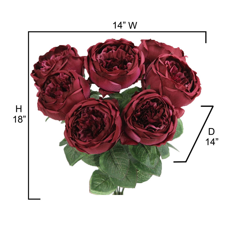 Buisson de roses en pleine floraison, Prune