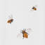 Bees Tissue Box Cover