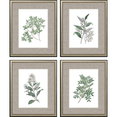 Fleurs blanches S / 4, impression encadrée sur papier 4 pièces