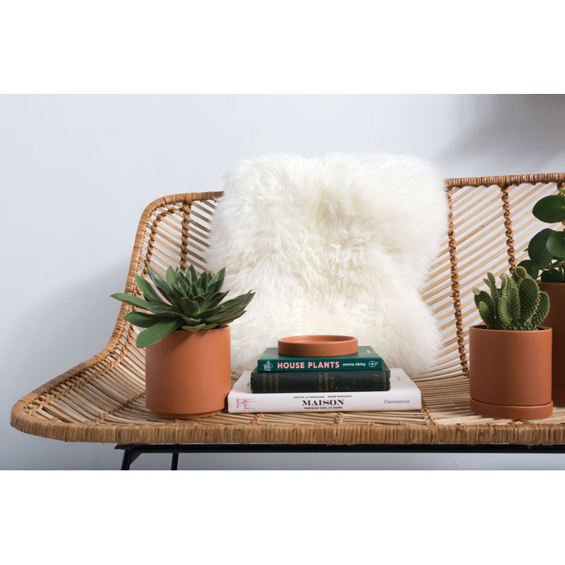 Pot de fleurs en céramique Carlotta, H 5,75 po x l 5 po x P 5 po, Terre cuite