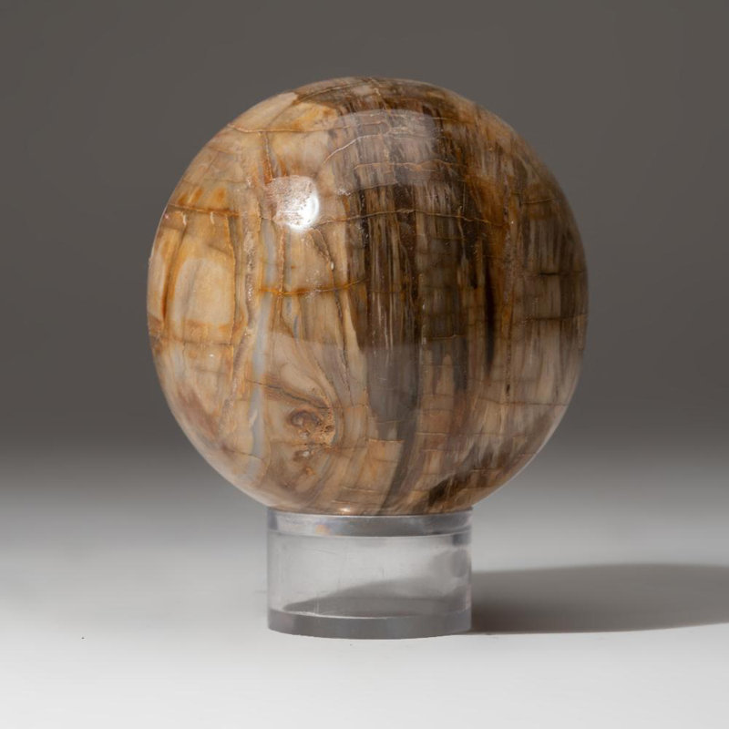 Polished Polychrome Sphere from Madagascar, 2.75" H x 2.75" W x 2.75" D, Gray/Black