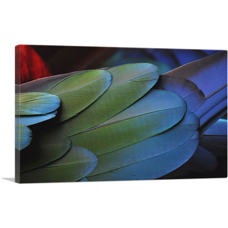 Oiseau - reproduction de photo sur toile tendue, H 18 po x l 26 po x P 0,75 po