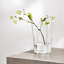 Aalto Indoor / Outdoor Glass Table Vase-52207447-52207448