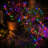 Dametria Solar String Light 200 - Bulb LED Fairy String Lights for Christmas Decor-2145537227