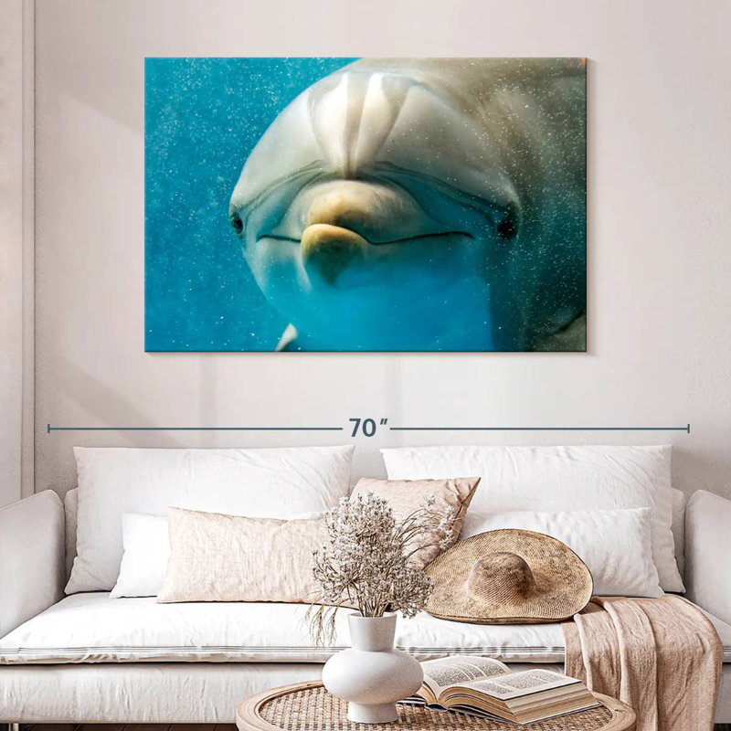 Brampt Nosy Dolphin, 32" H x 48" W