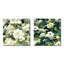 Navarrete - Ensemble de 2 collages floraux carrés-101849281-101849279