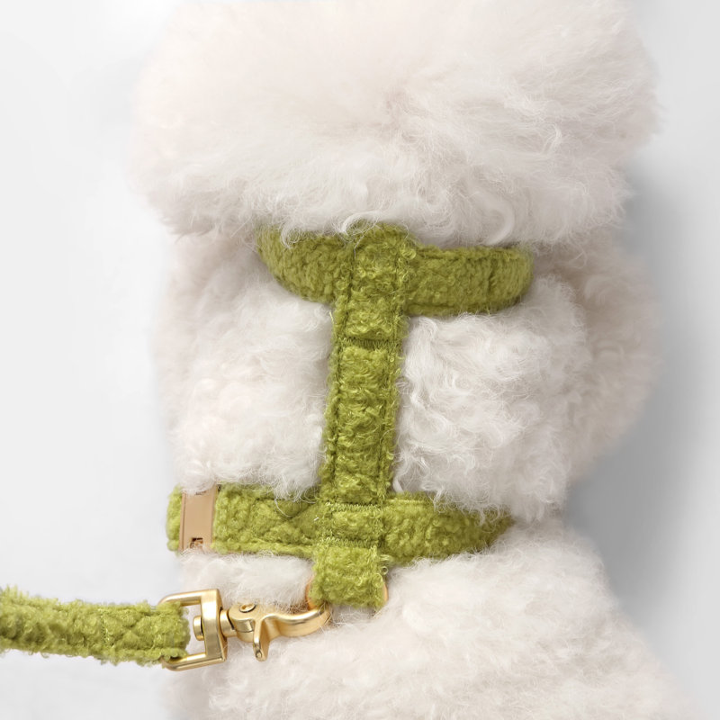 Ensemble de promenade à harnais et laisse réglable Teddy Bouclé, Vert olive, Small