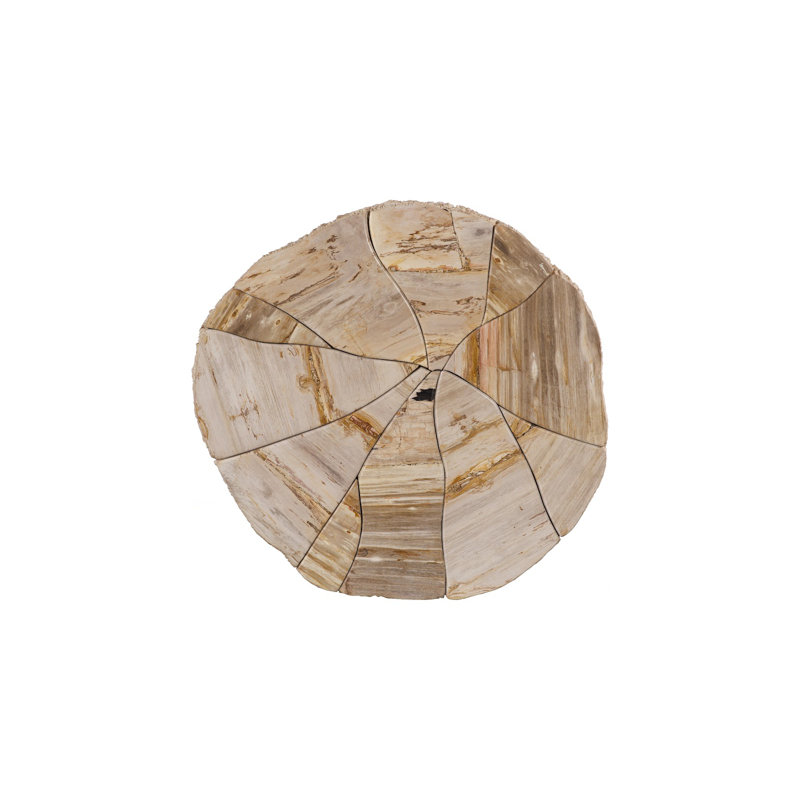 Converge Petrified Coffee Table, Rough, Cream
