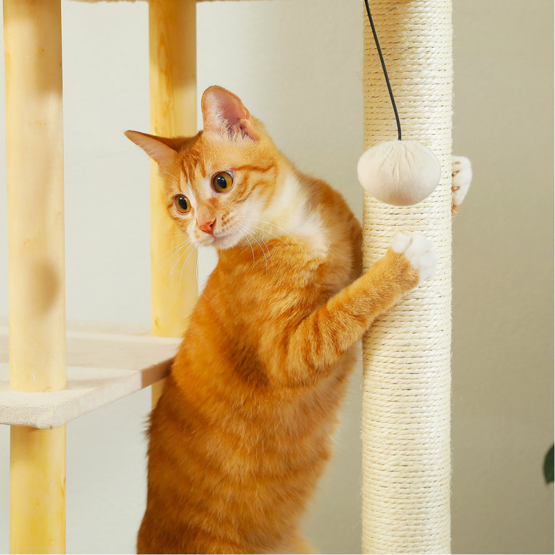 Arbre à chat 53 po, Beige