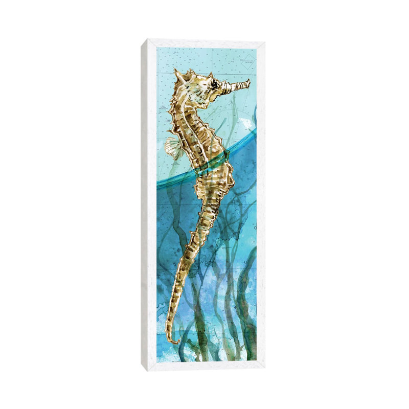 Atlantic Seahorse by Carol Robinson - Panoramic Print on Canvas, 30.48 cm H x 91.44 cm W, White Framed