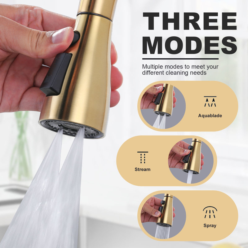 Gold 3-Function Kitchen Faucet Spray Head with 9 Adapters